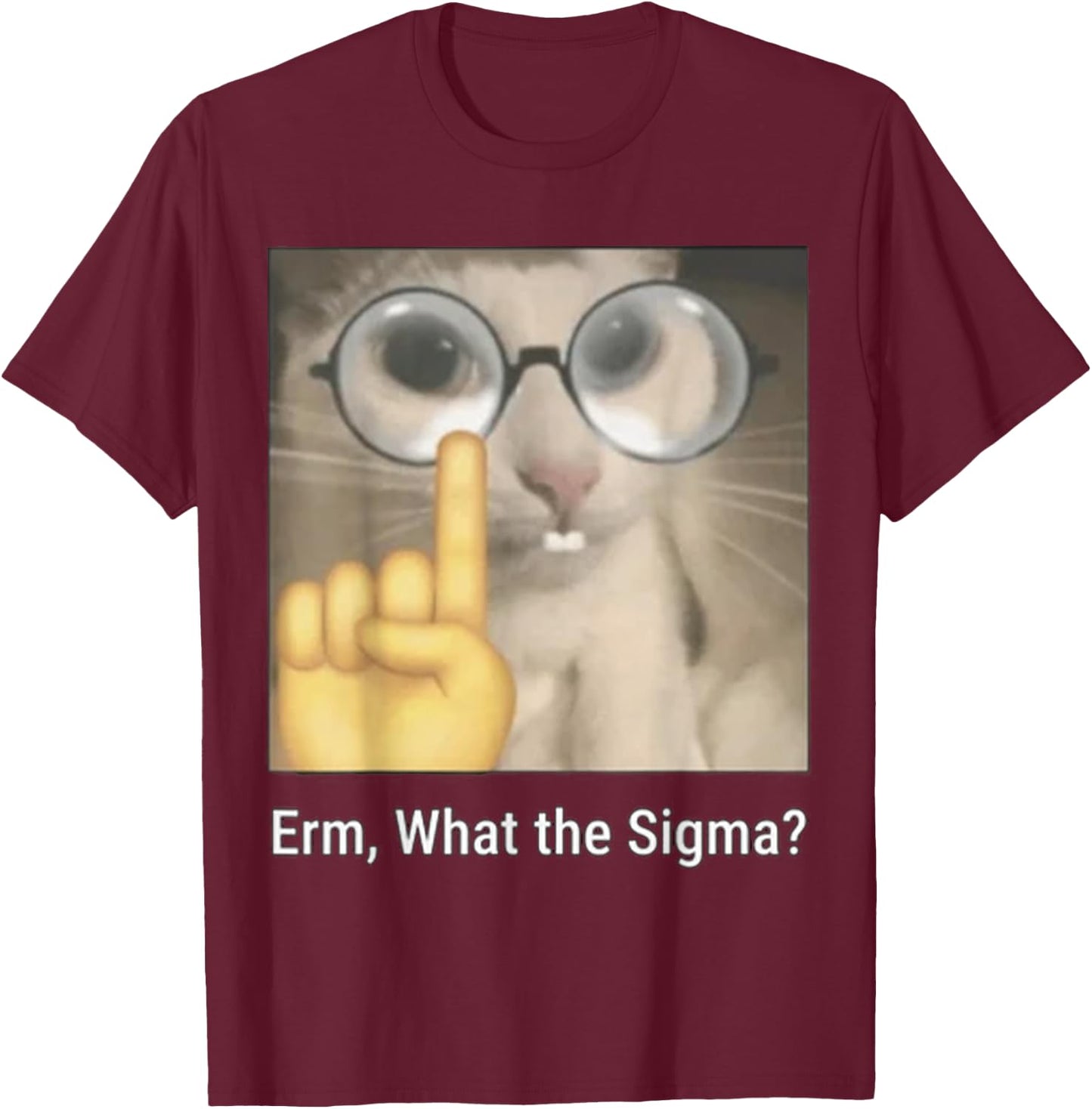 Cat Funny Erm, What The Sigma? Cat Meme Funny T-Shirt - T-Shirt | Maroon