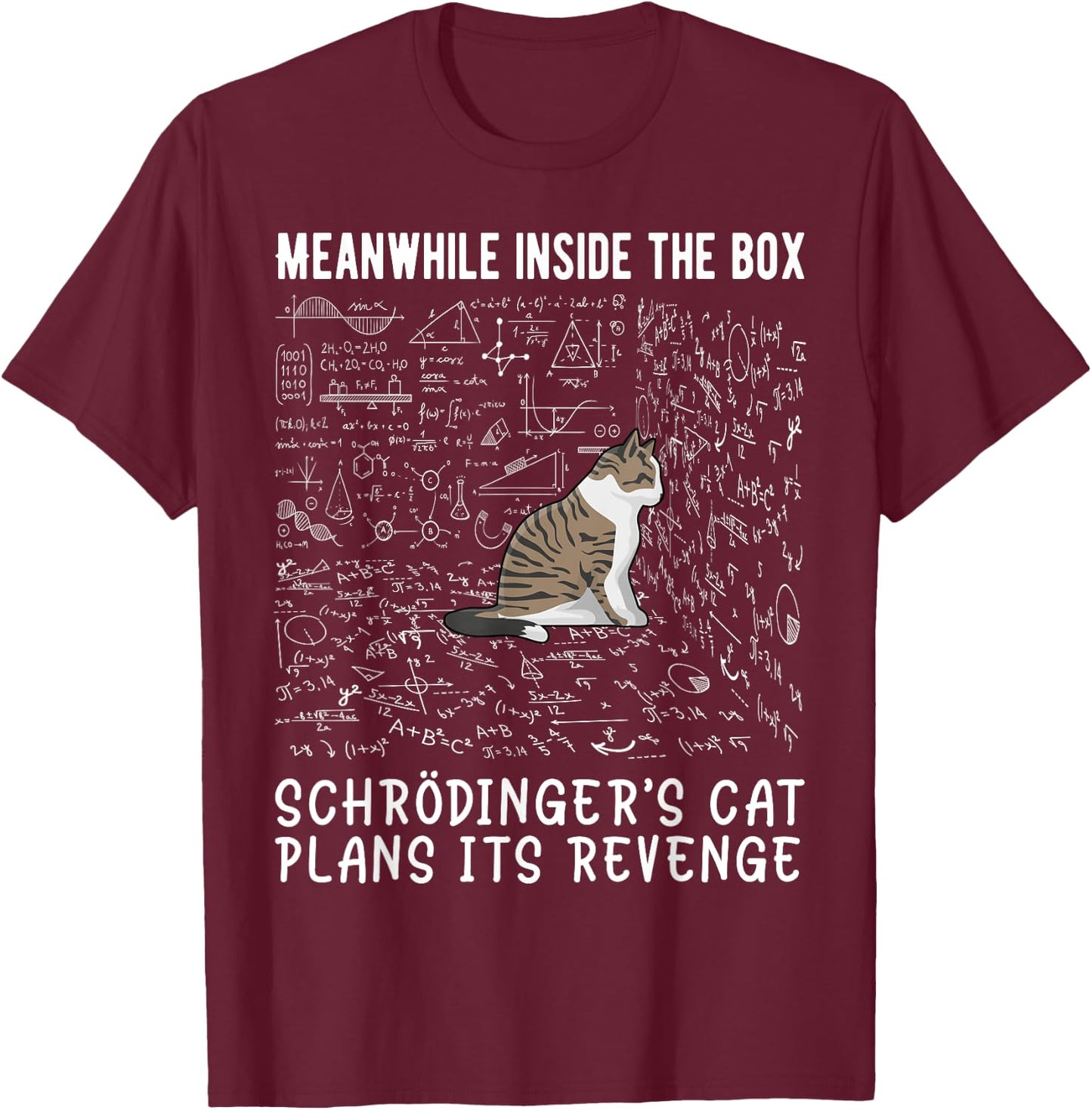 Meanwhile Inside The Box Cat De Schrödinger Vengeance T-Shirt - T-Shirt | Maroon
