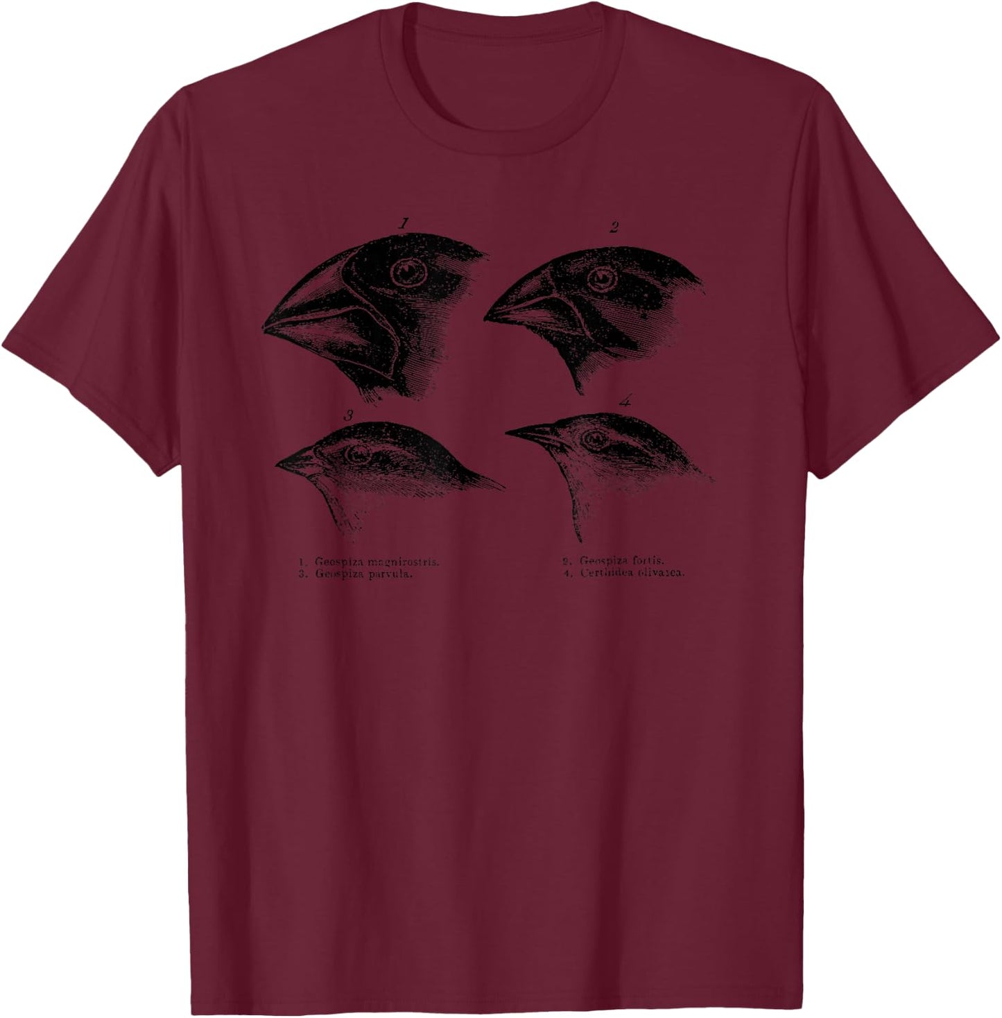 Darwin's Finches Evolution Atheist Illustration T-Shirt - T-Shirt | Maroon
