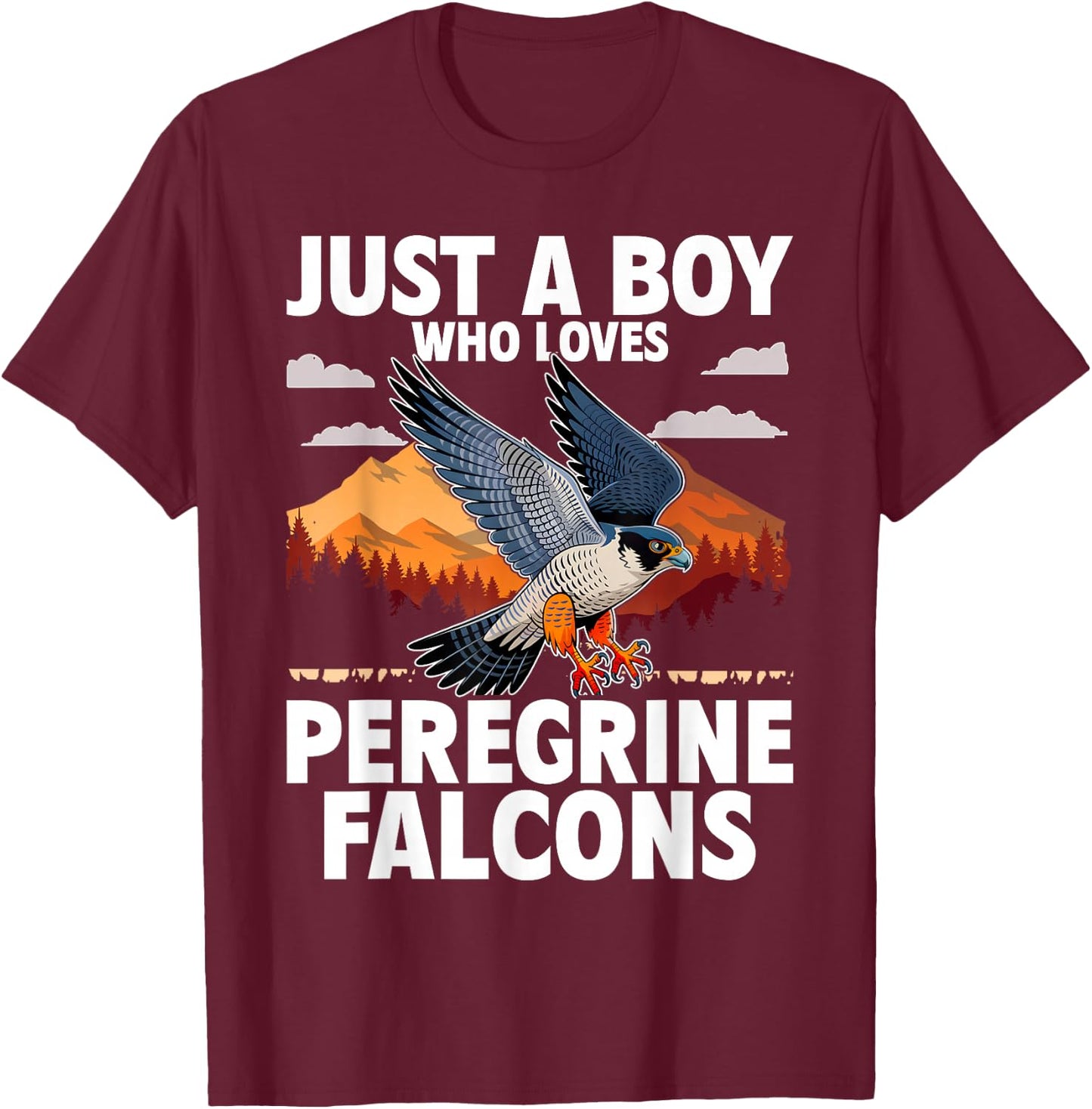 Just A Boy Who Loves Peregrine Falcons Birds T-Shirt - T-Shirt | Maroon