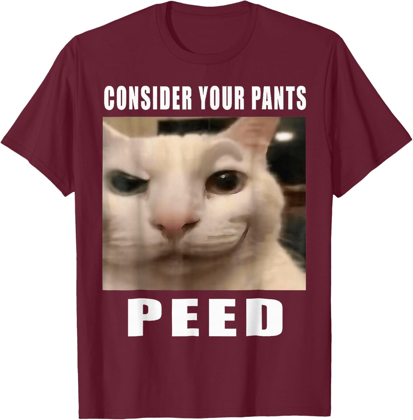 Consider Your Pants Peed Cat Funny T-Shirt - T-Shirt | Maroon