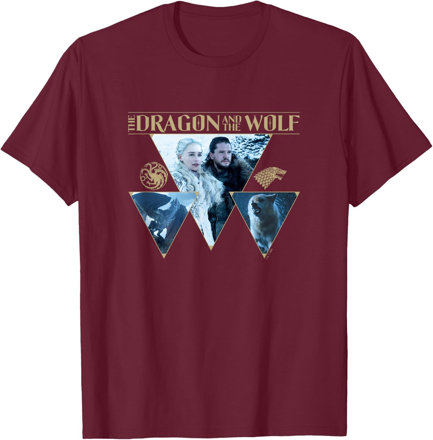 Game Of Thrones The Dragon & The Wolf House Words Panels T-Shirt - T-Shirt | Maroon