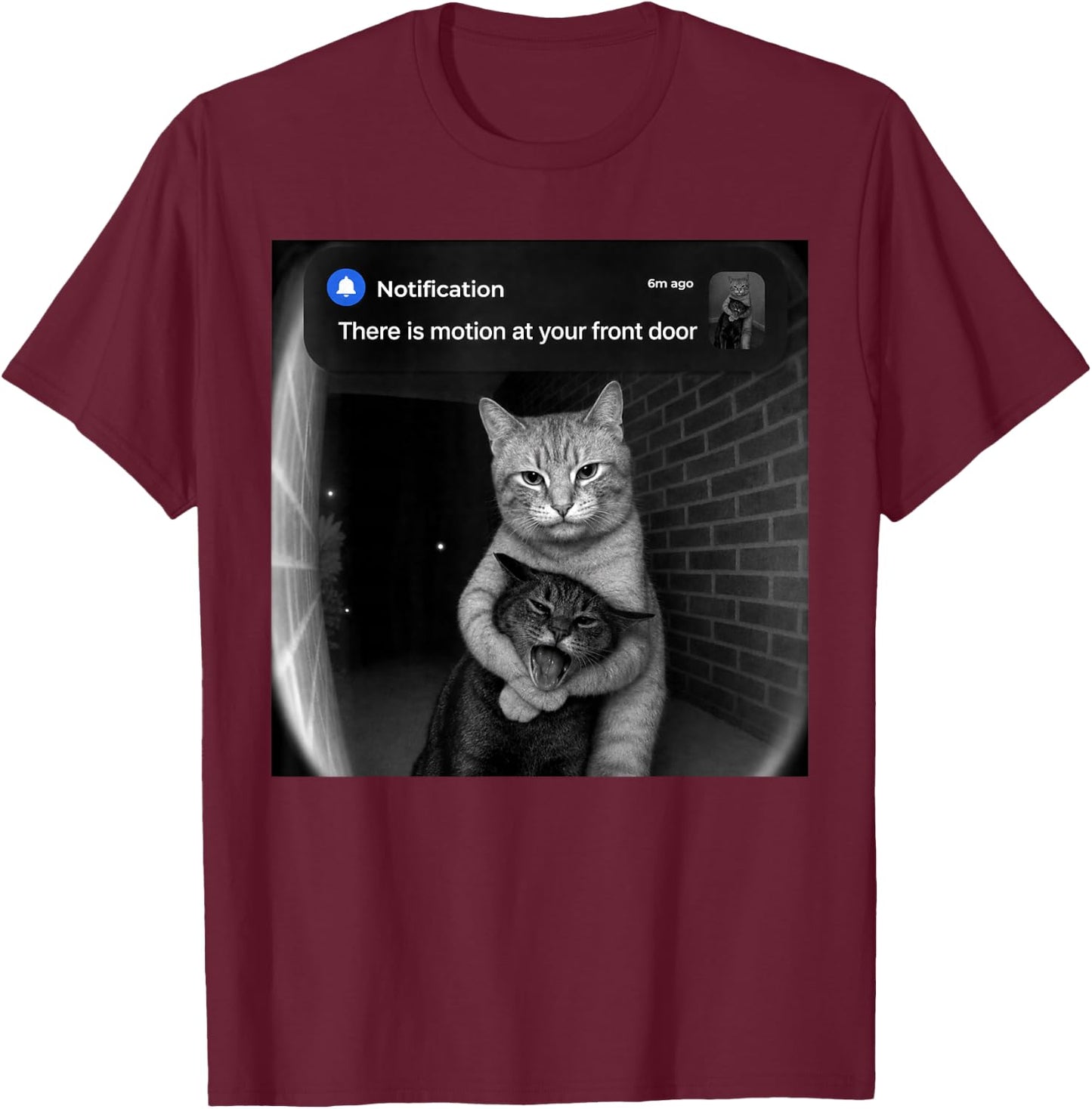 There is Motion at Your Front Door Funny Sibling Cats Meme T-Shirt - T-Shirt | Maroon