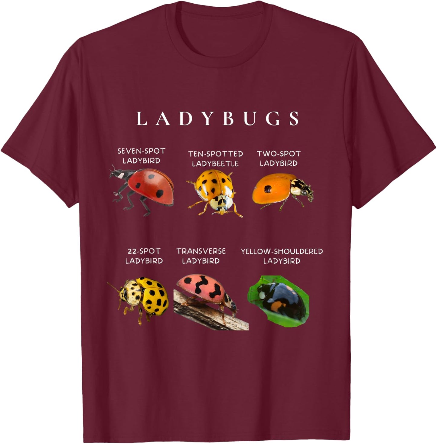Types of ladybugs insects bug identification science T-Shirt - T-Shirt | Maroon