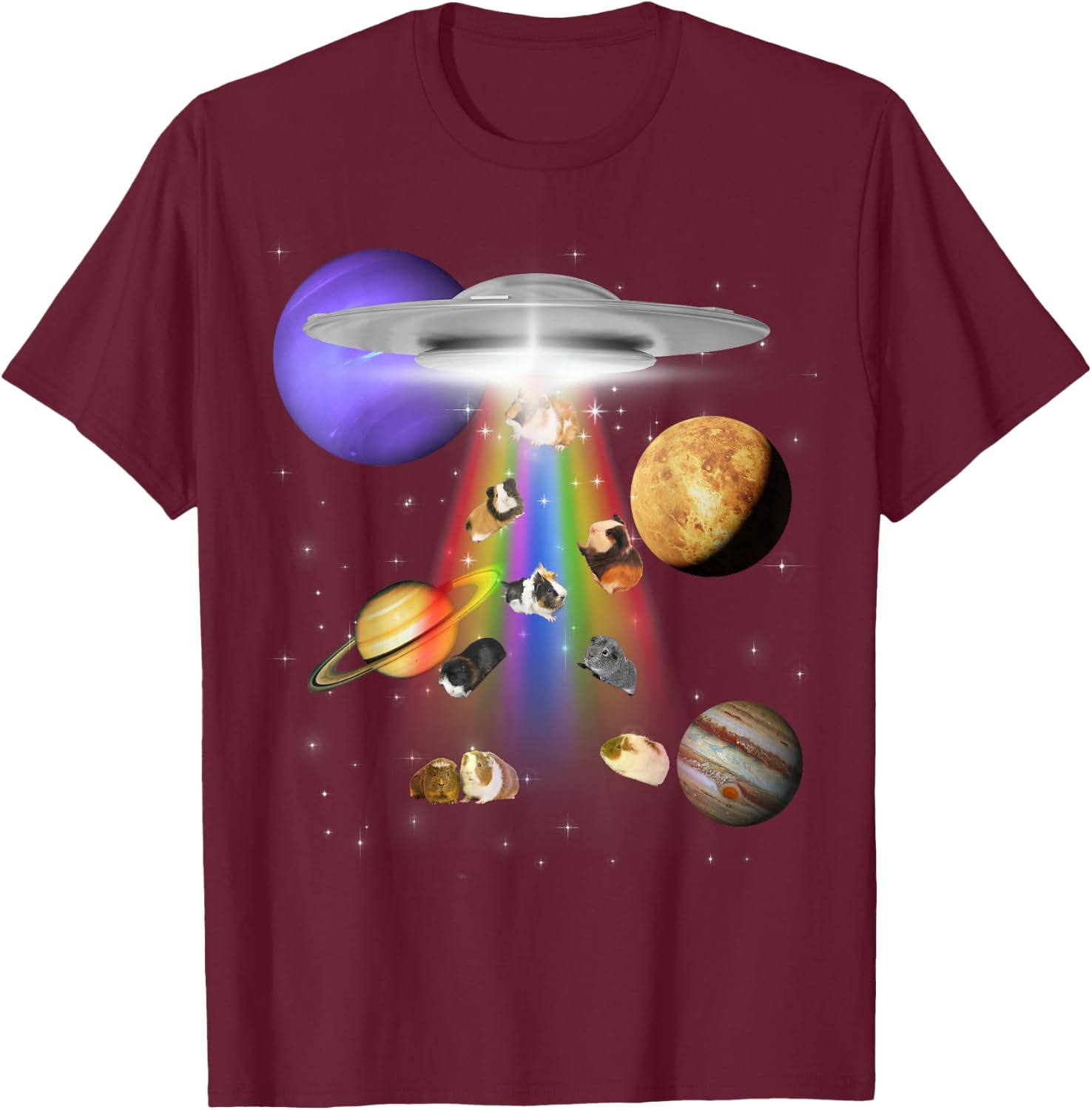 Guinea Pig Lover Alien Abduction UFO LGBTQ Subtle Pride T-Shirt - T-Shirt | Maroon