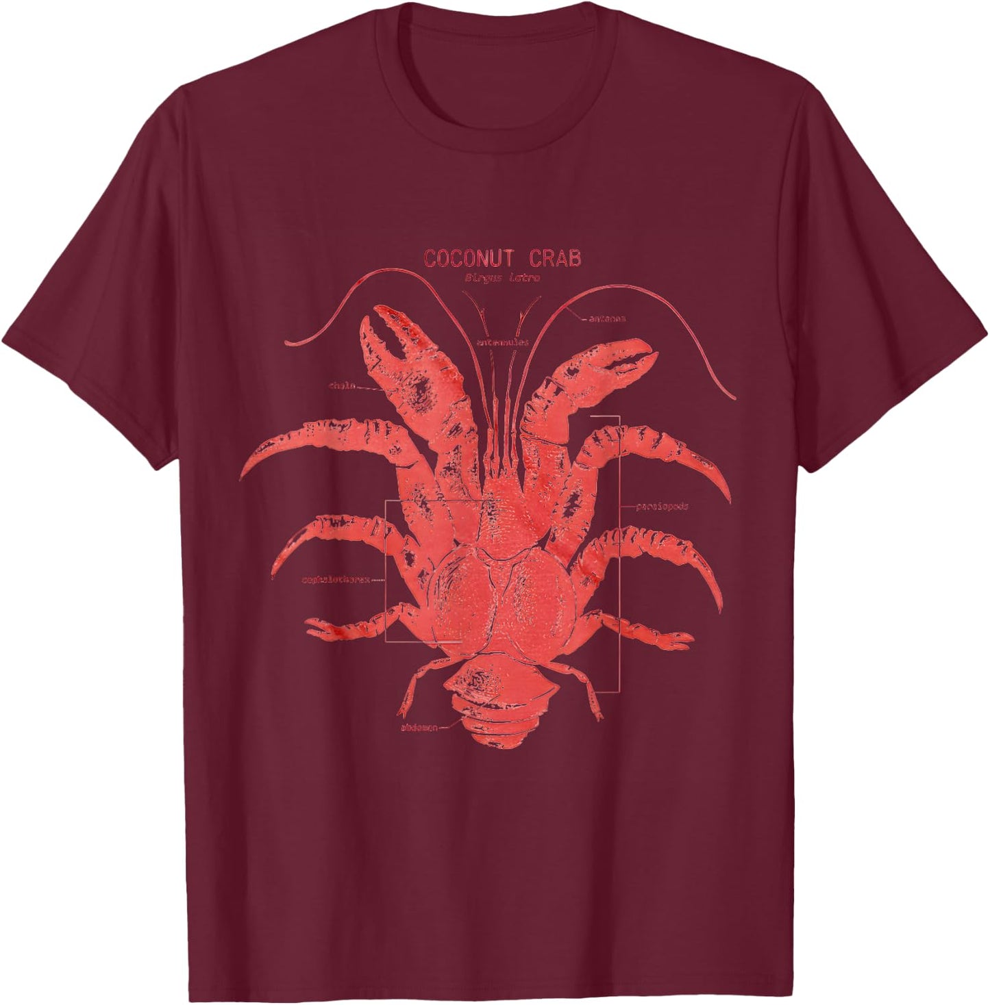 Coconut Crab Anatomy T-Shirt - T-Shirt | Maroon