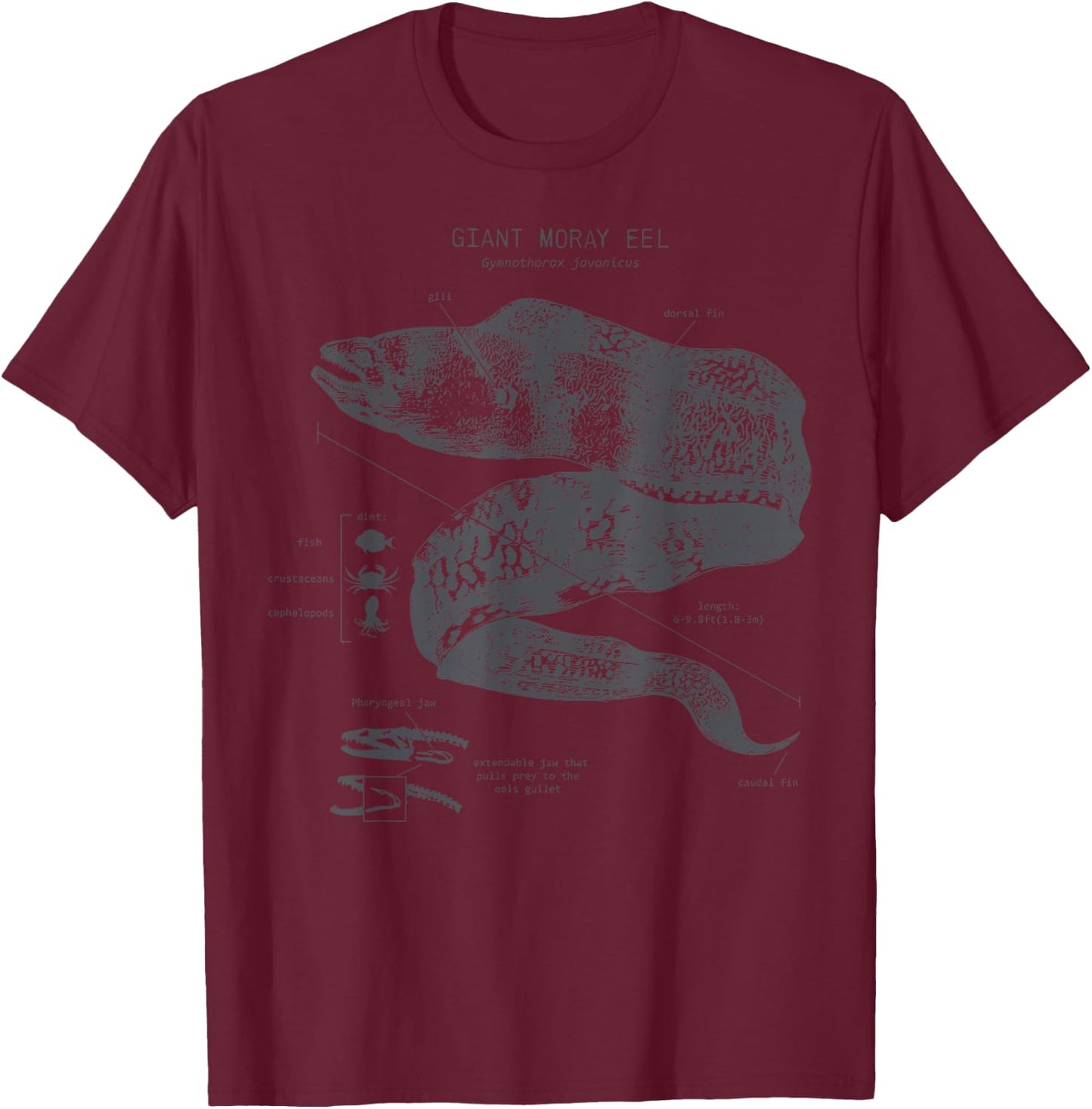 Vintage Moray Eel Anatomy Ocean Animal Marine Biologist T-Shirt - T-Shirt | Maroon