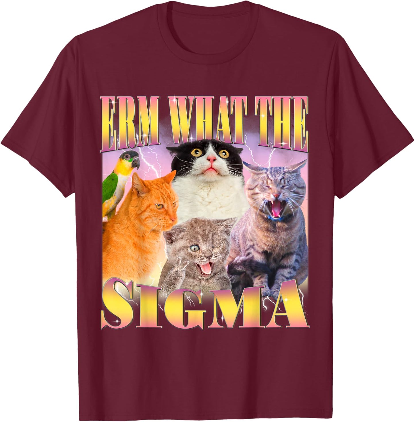 Cat Erm, What The Sigma? Funny Meme Ironic Humour Specific , Black, S T-Shirt - T-Shirt | Maroon
