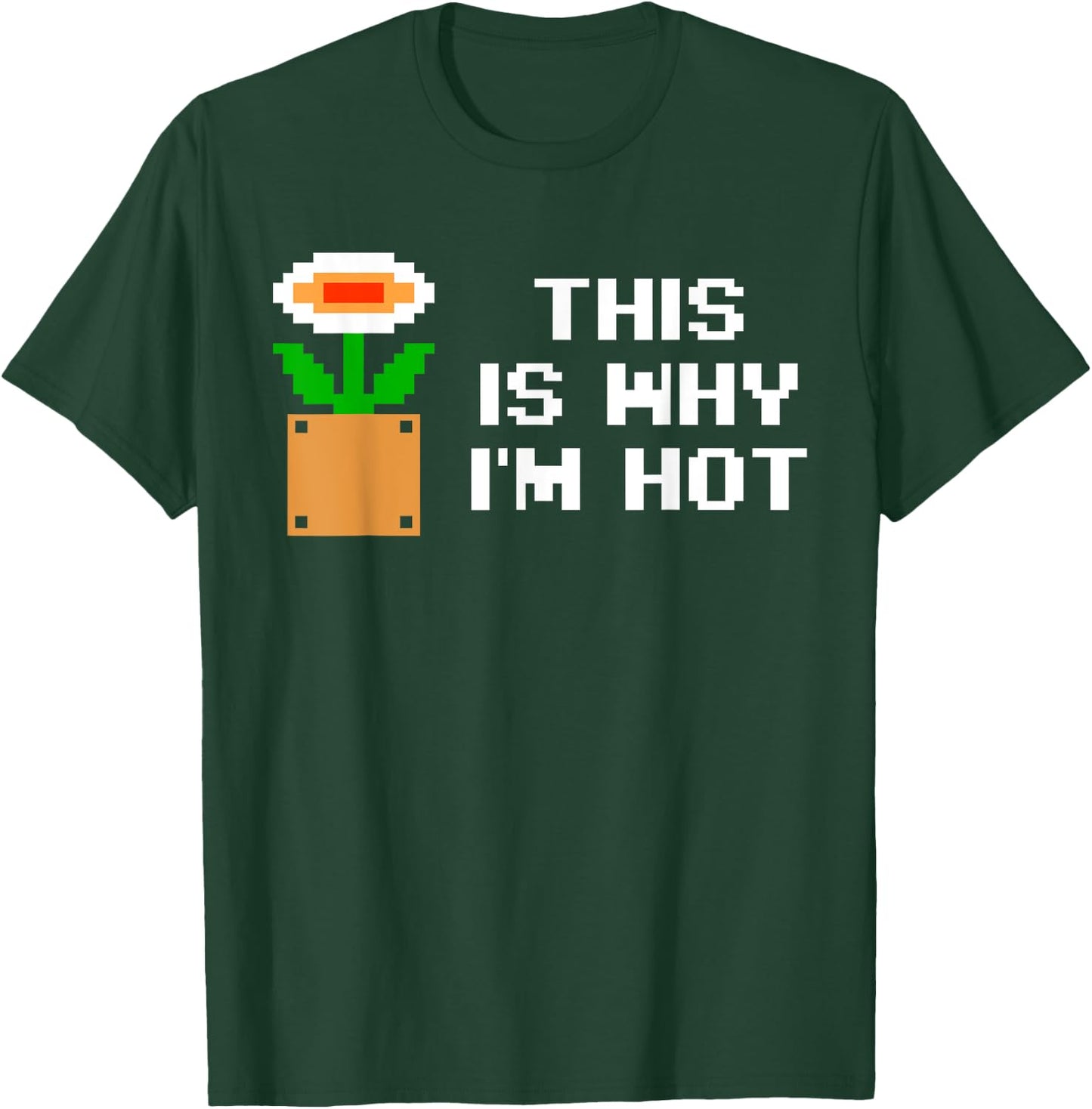 This Is Why I'm Hot Apparel T-Shirt - T-Shirt | Forest