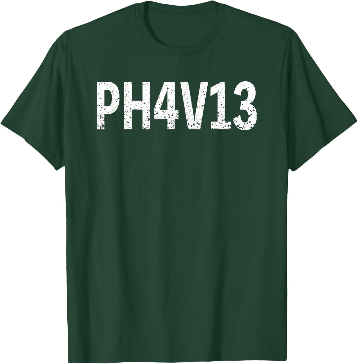 Philippians 4:13 Christian Catholic Bible Verse Distressed T-Shirt - T-Shirt | Forest