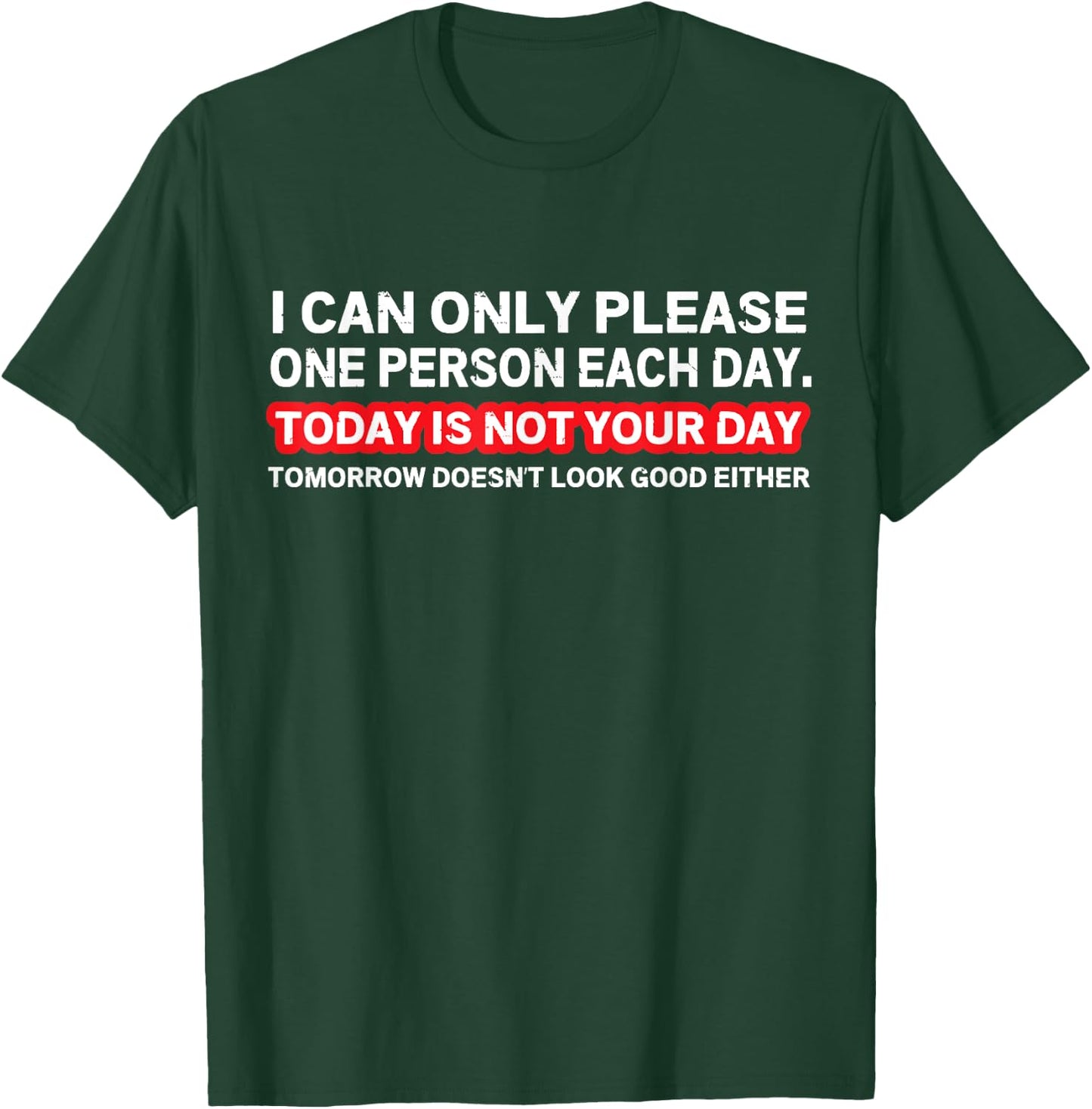 Sarcastic Saying - I Can Only Please One Person Per Day T-Shirt - T-Shirt | Forest