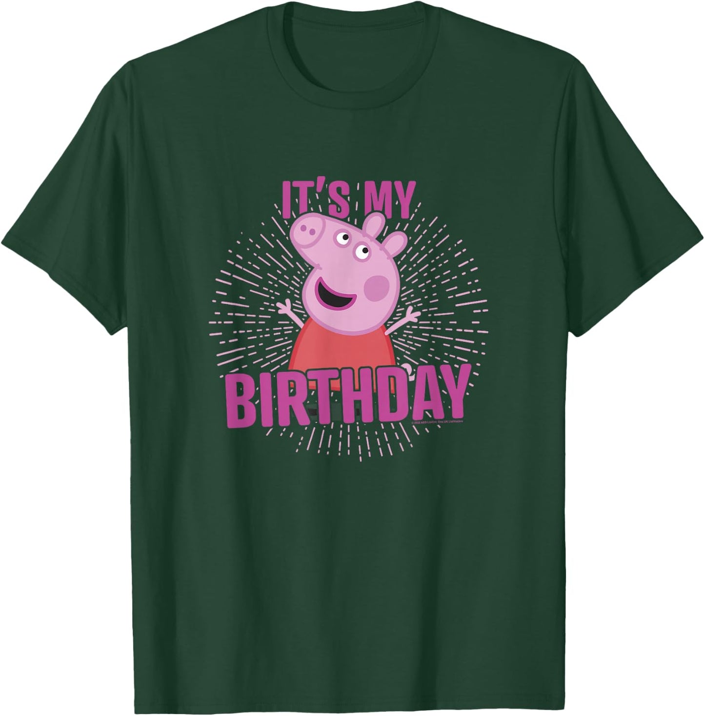Peppa Pig It's My Birthday Pink Celebration Lyrics T-Shirt - T-Shirt | Forest