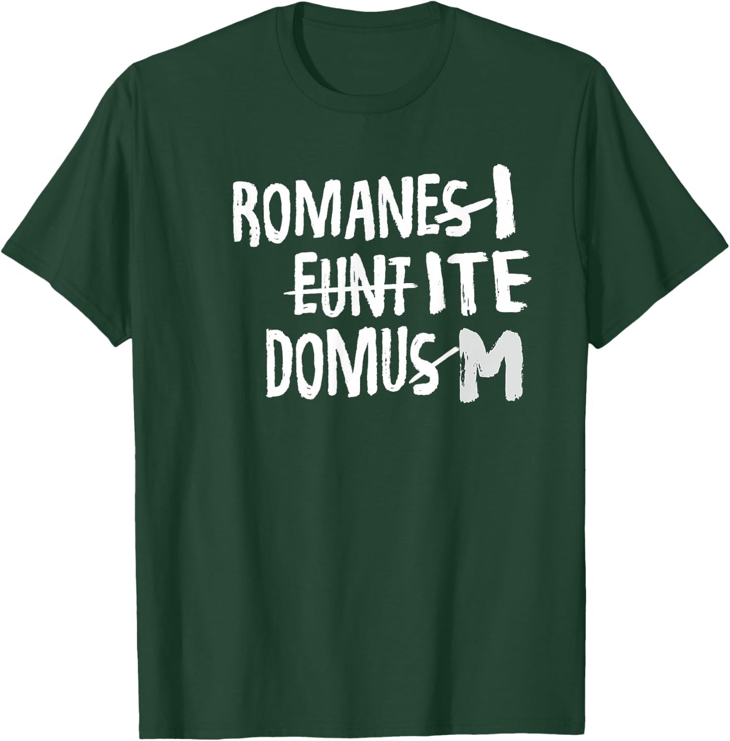 Romani Ite Domum - Learning Latin Like Life of Bryan , black, s T-Shirt - T-Shirt | Forest