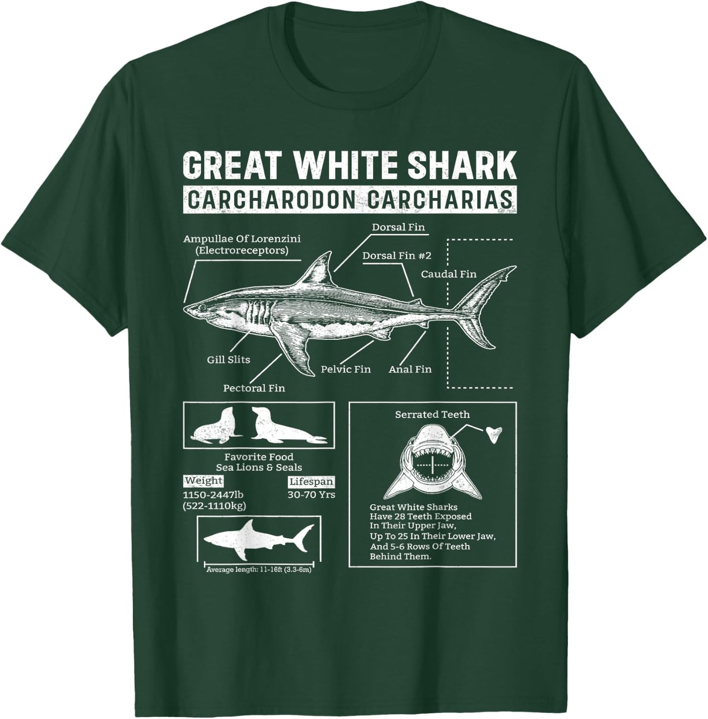 Vintage Great White Shark Anatomy Lover Marine Biologist T-Shirt - T-Shirt | Forest
