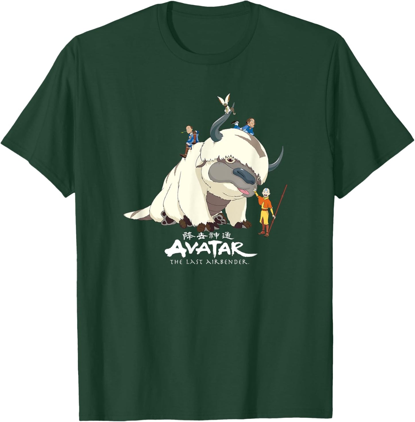 Avatar: The Last Airbender Team Avatar Group Shot Distressed T-Shirt - T-Shirt | Forest