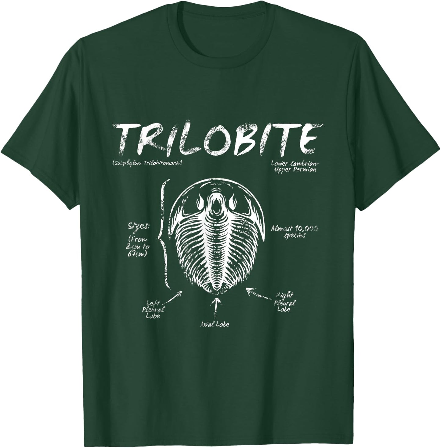 Trilobite Geology Teacher Fossil Men Women Kids T-Shirt - T-Shirt | Forest