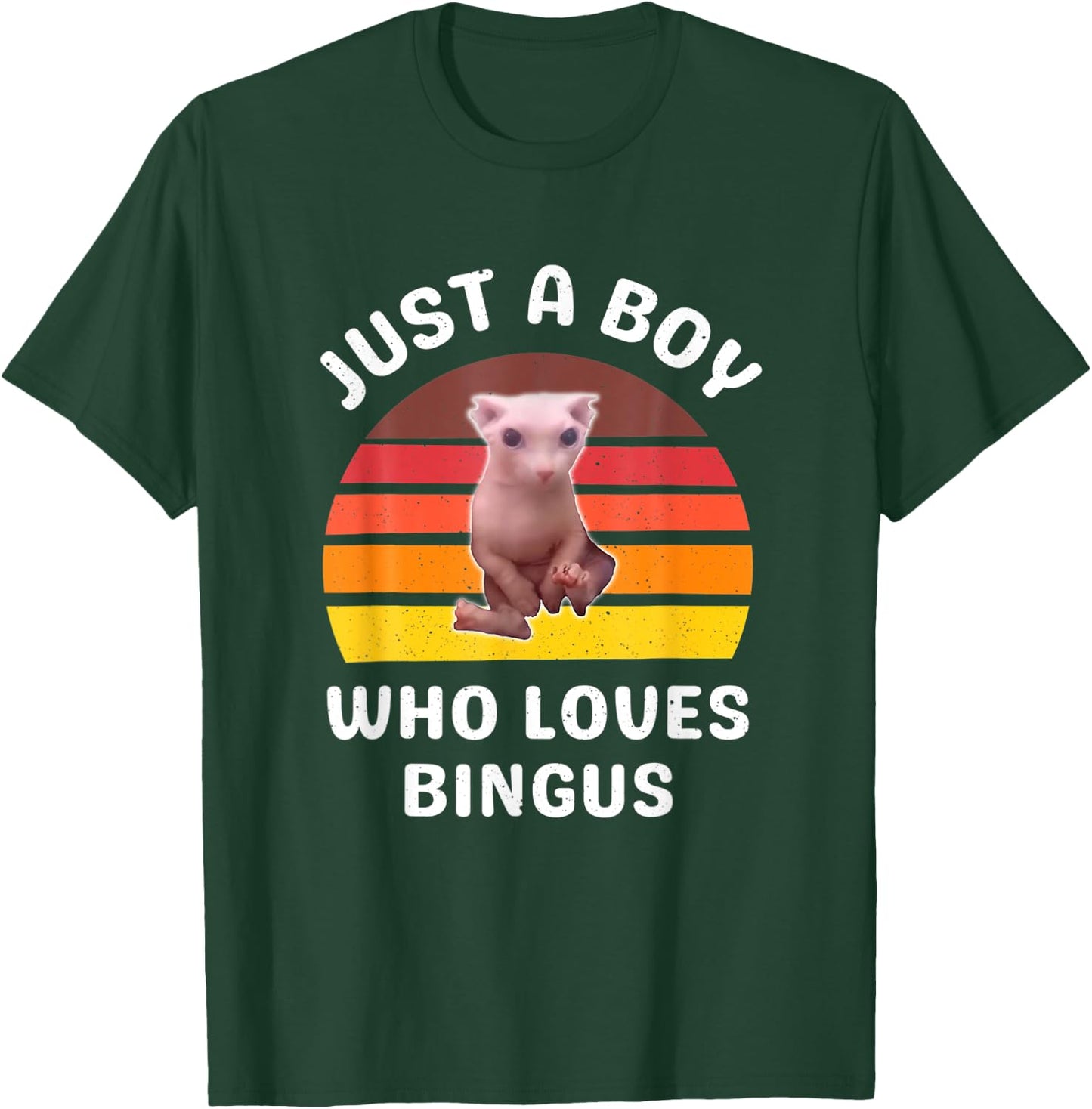 Just A Boy Who Loves Bingus Funny Hairless Sphynx Cat T-Shirt - T-Shirt | Forest