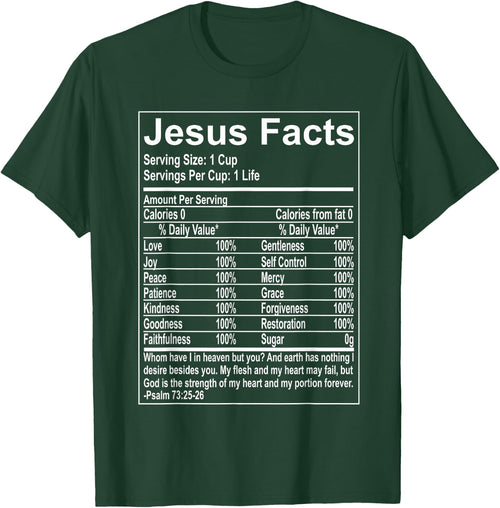 Jesus Facts Religious Studies Catholicism