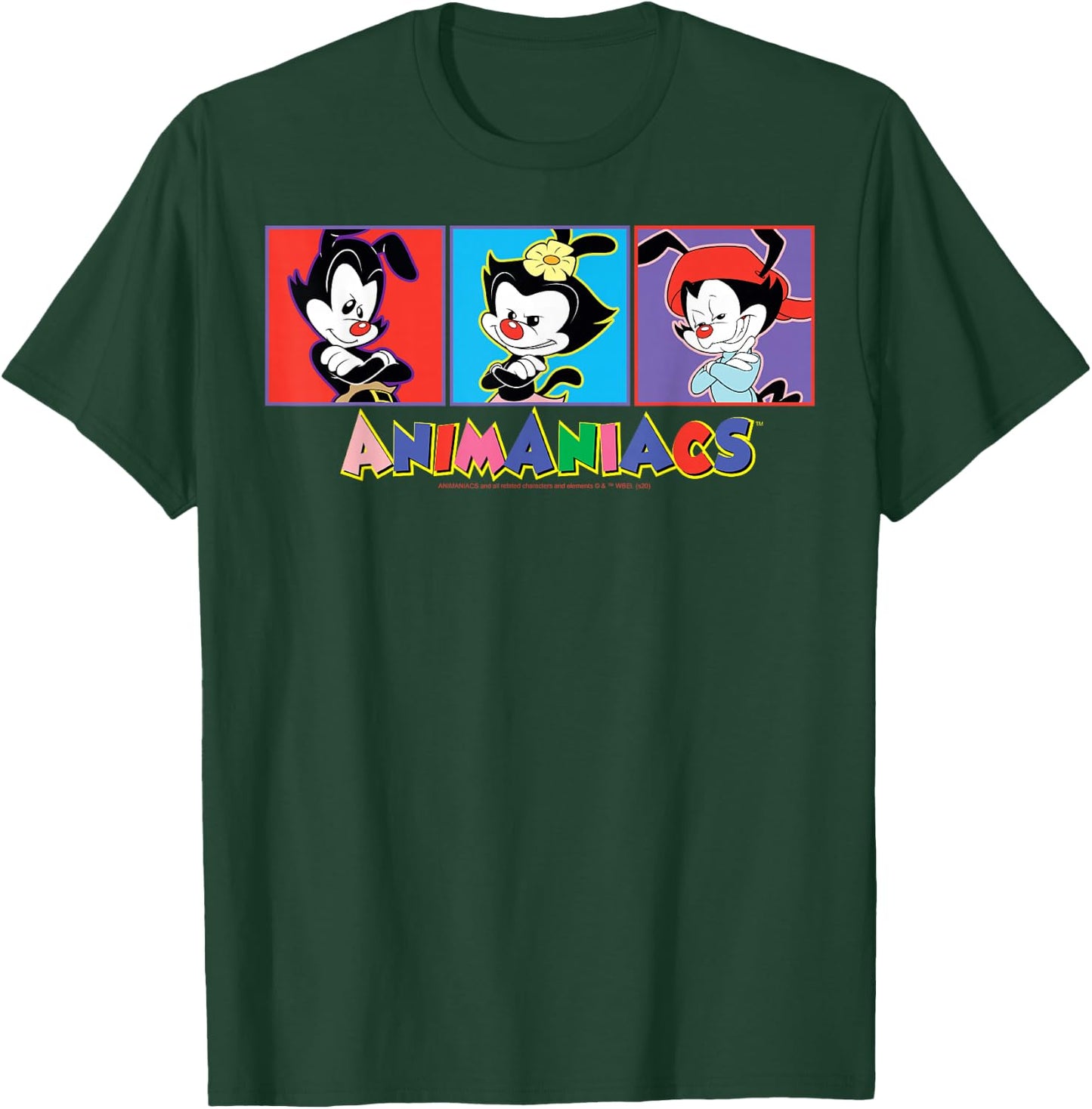 Animaniacs Yakko Wakko And Dot Box Up T-Shirt - T-Shirt | Forest