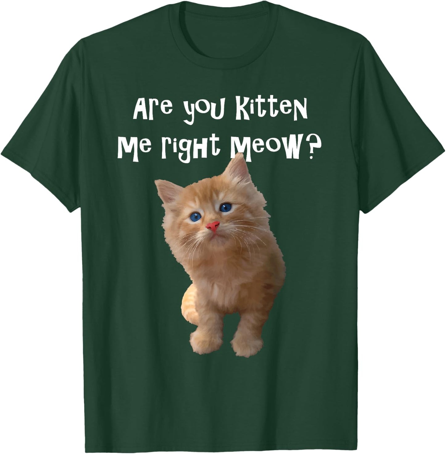 Are You Kitten Me Right Meow? T-Shirt - T-Shirt | Forest