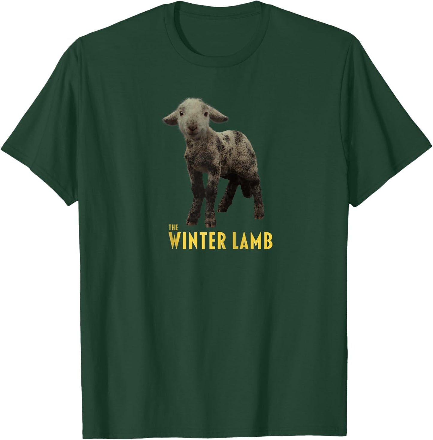 The Winter Lamb Raglan Baseball T-Shirt - T-Shirt | Forest
