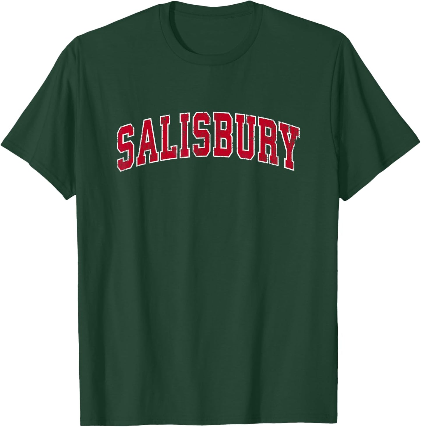 Salisbury Maryland MD Vintage Sports Design Red Design T-Shirt - T-Shirt | Forest