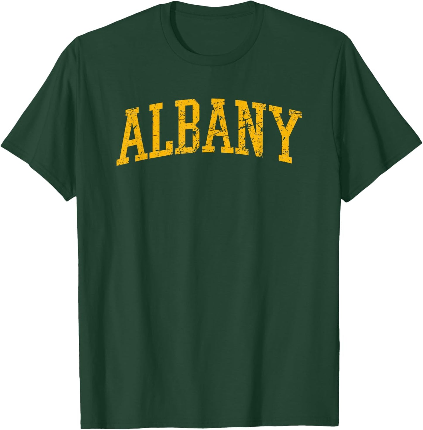 Albany NY- Throwback Design - Vintage Worn Classic T-Shirt - T-Shirt | Forest