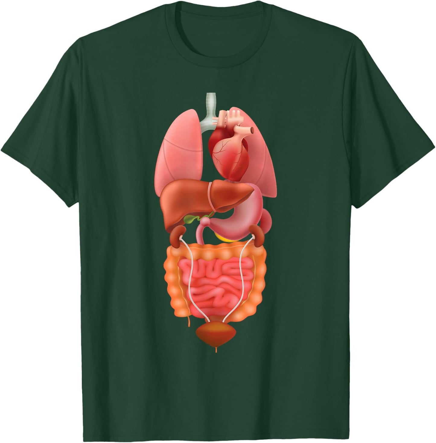 Halloween Human Body Torso Anatomy Internal Organ Fun Print T-Shirt - T-Shirt | Forest