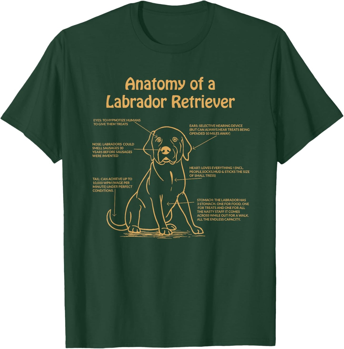Anatomy of a Labrador Retriever Lab Owner T-Shirt - T-Shirt | Forest