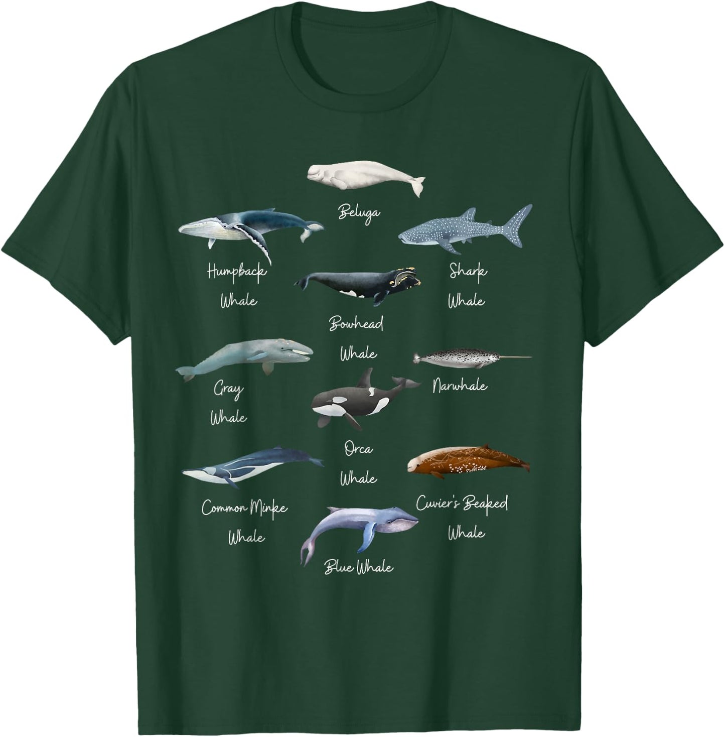 Types Of Whales Watercollor Cute Ocean Mammals Guide T-Shirt - T-Shirt | Forest