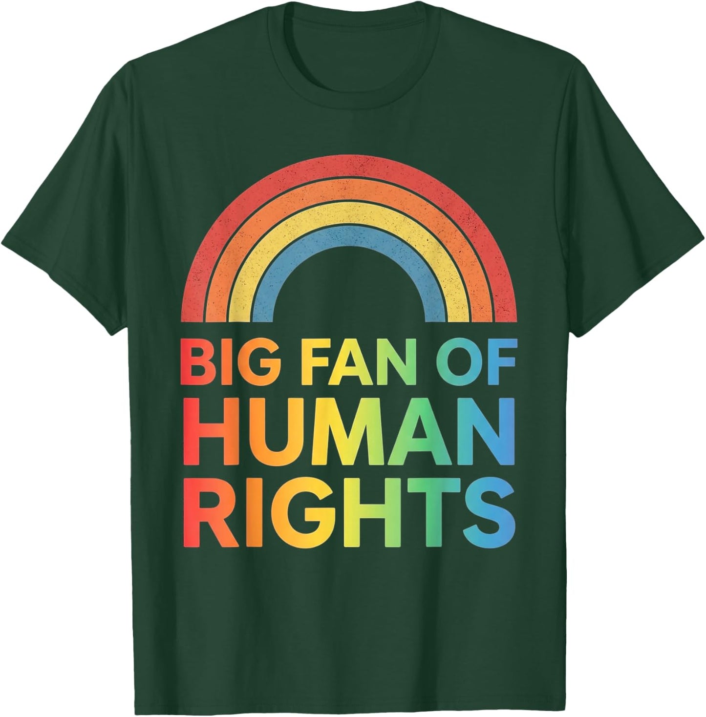 Big Fan of Human Rights Rainbow Equality Vintage Men Women T-Shirt - T-Shirt | Forest