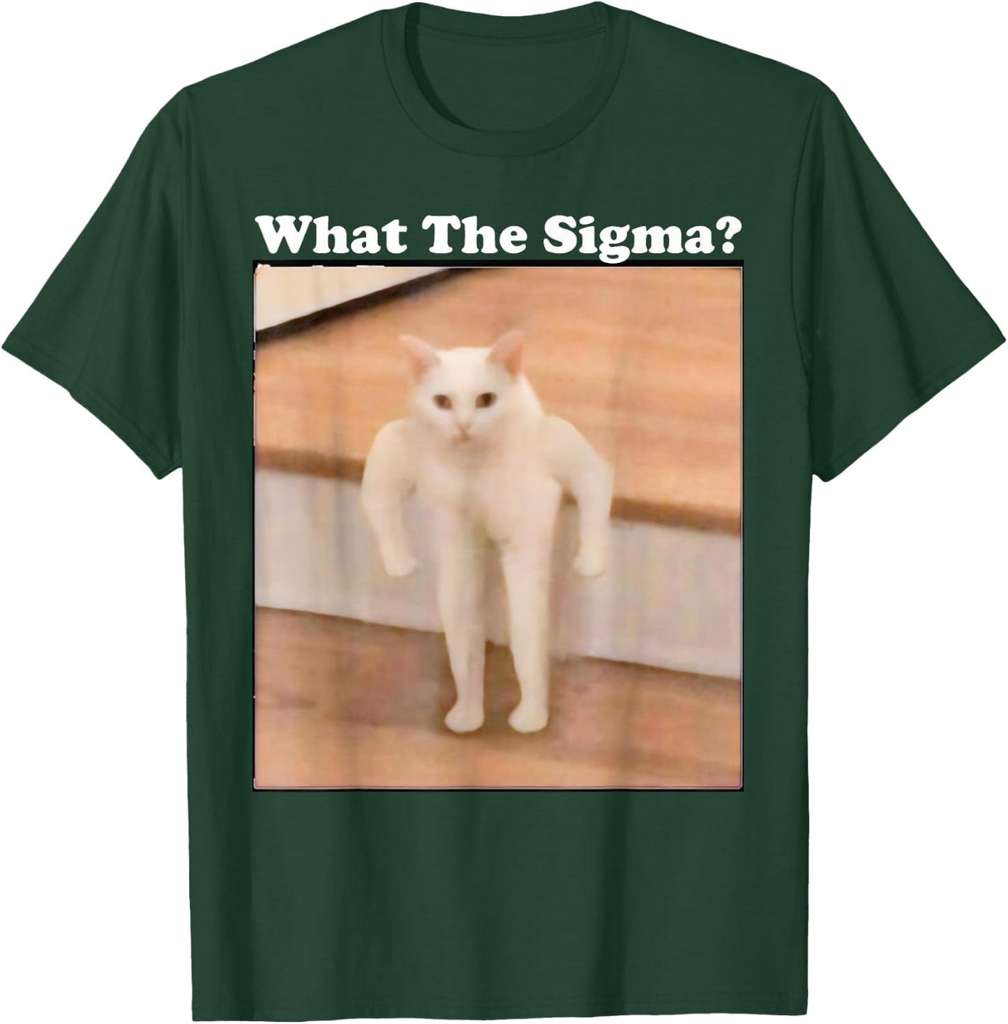 What Sigma Meme Cat Meme Internet Memes Funny Meme Gen Z Pun T-Shirt - T-Shirt | Forest