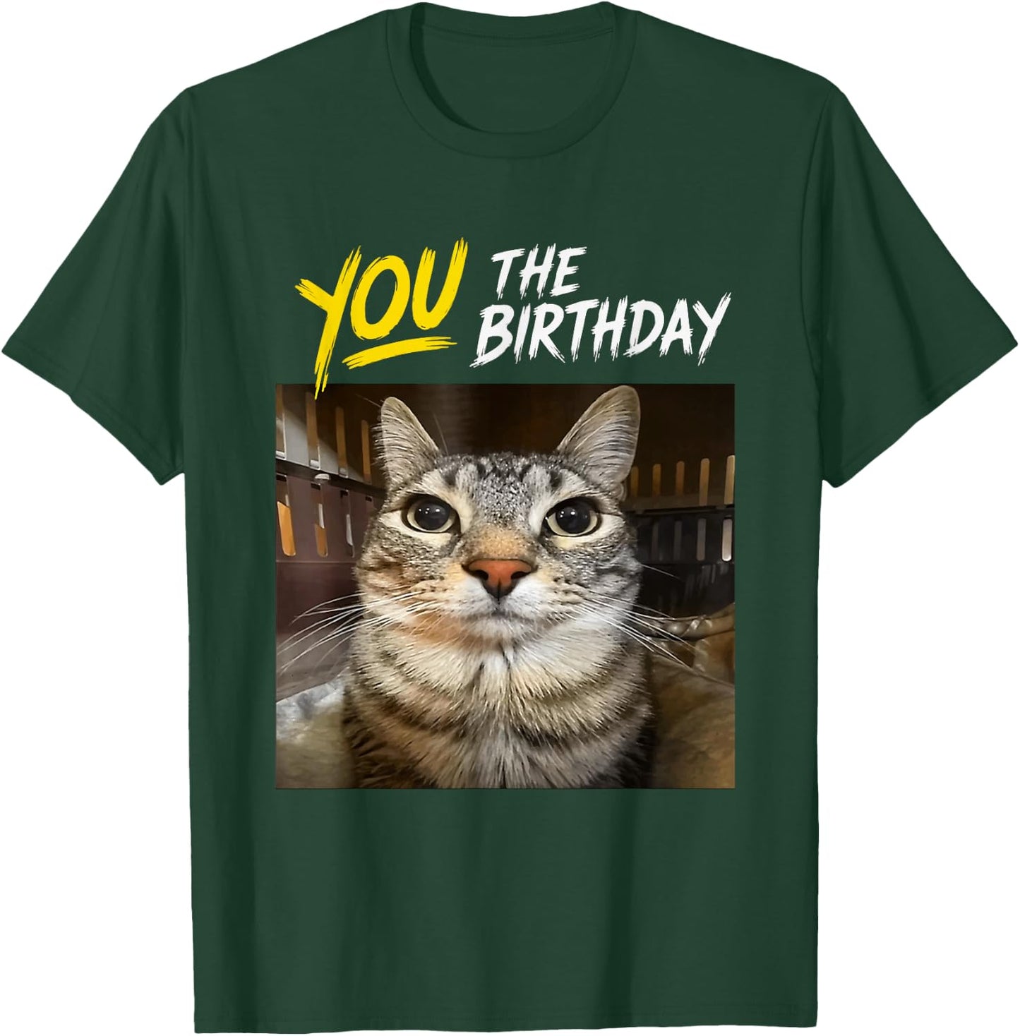 You The Birthday Funny Gen Z Slang Meme Cat T-Shirt - T-Shirt | Forest