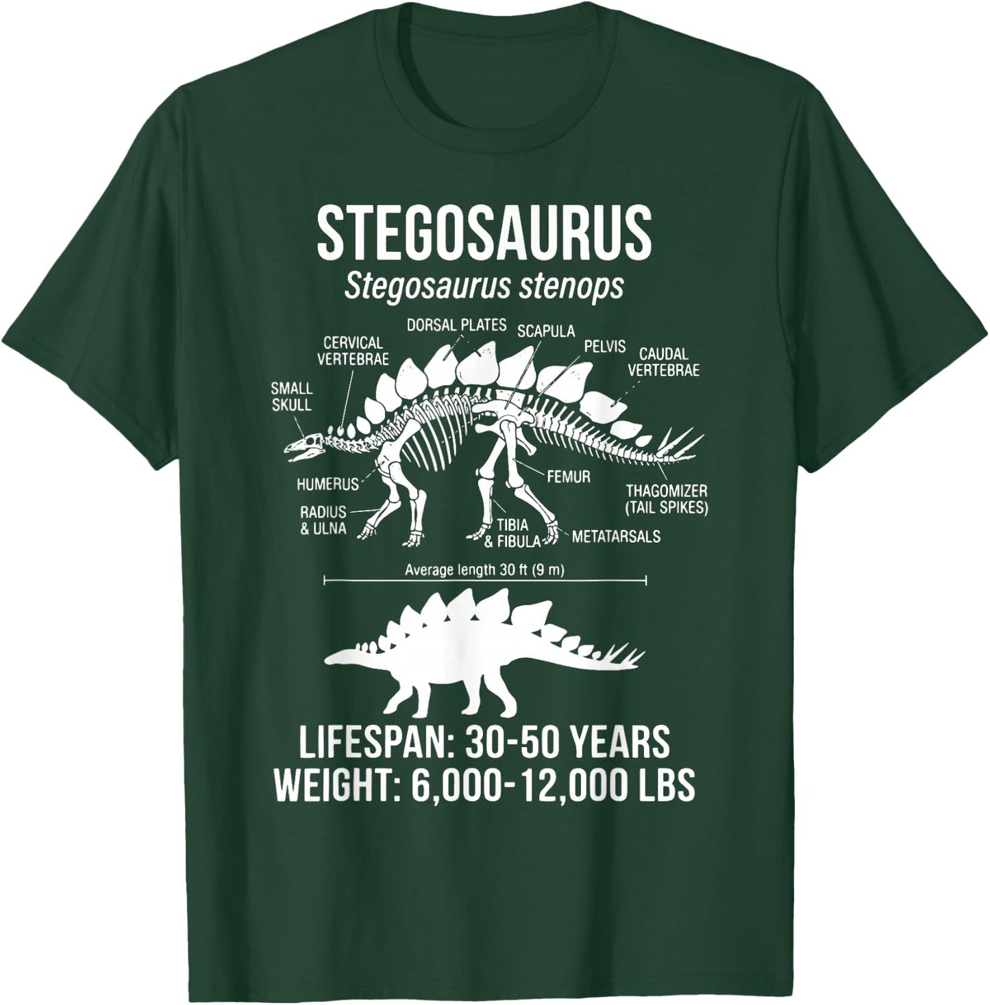 Stegosaurus Diagram T-Shirt - T-Shirt | Forest