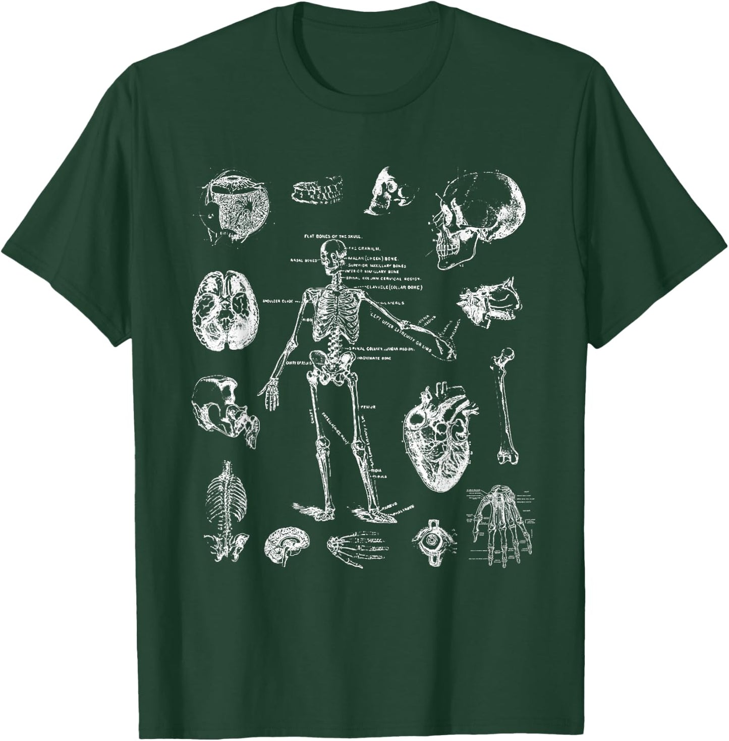 Human Skeleton Anatomy Drawing Diagram Spooky Halloween T-Shirt - T-Shirt | Forest