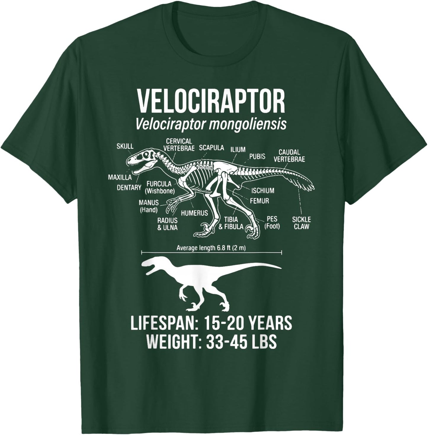 Velociraptor Diagram T-Shirt - T-Shirt | Forest