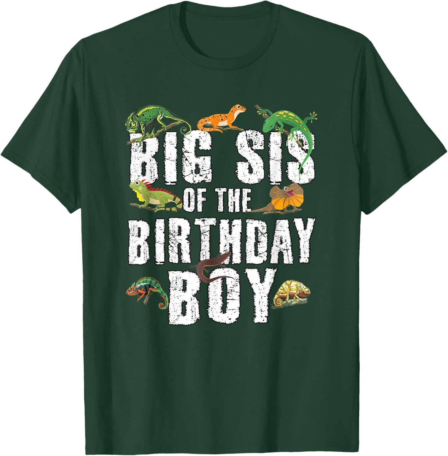 Big Sis of The Birthday Boy Reptiles Lizard Themed Party T-Shirt - T-Shirt | Forest