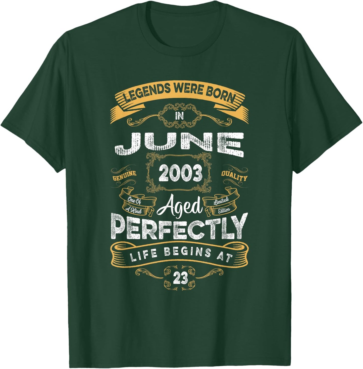 Retro 23rd Birthday Legends were Born in June 2003 T-Shirt - T-Shirt | Forest