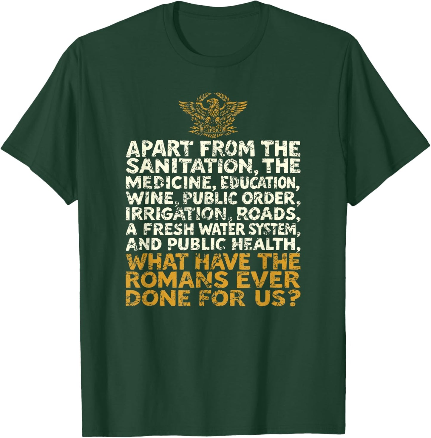 What Have The Romans Ever Done for Us Distressed Funny T-Shirt - T-Shirt | Forest