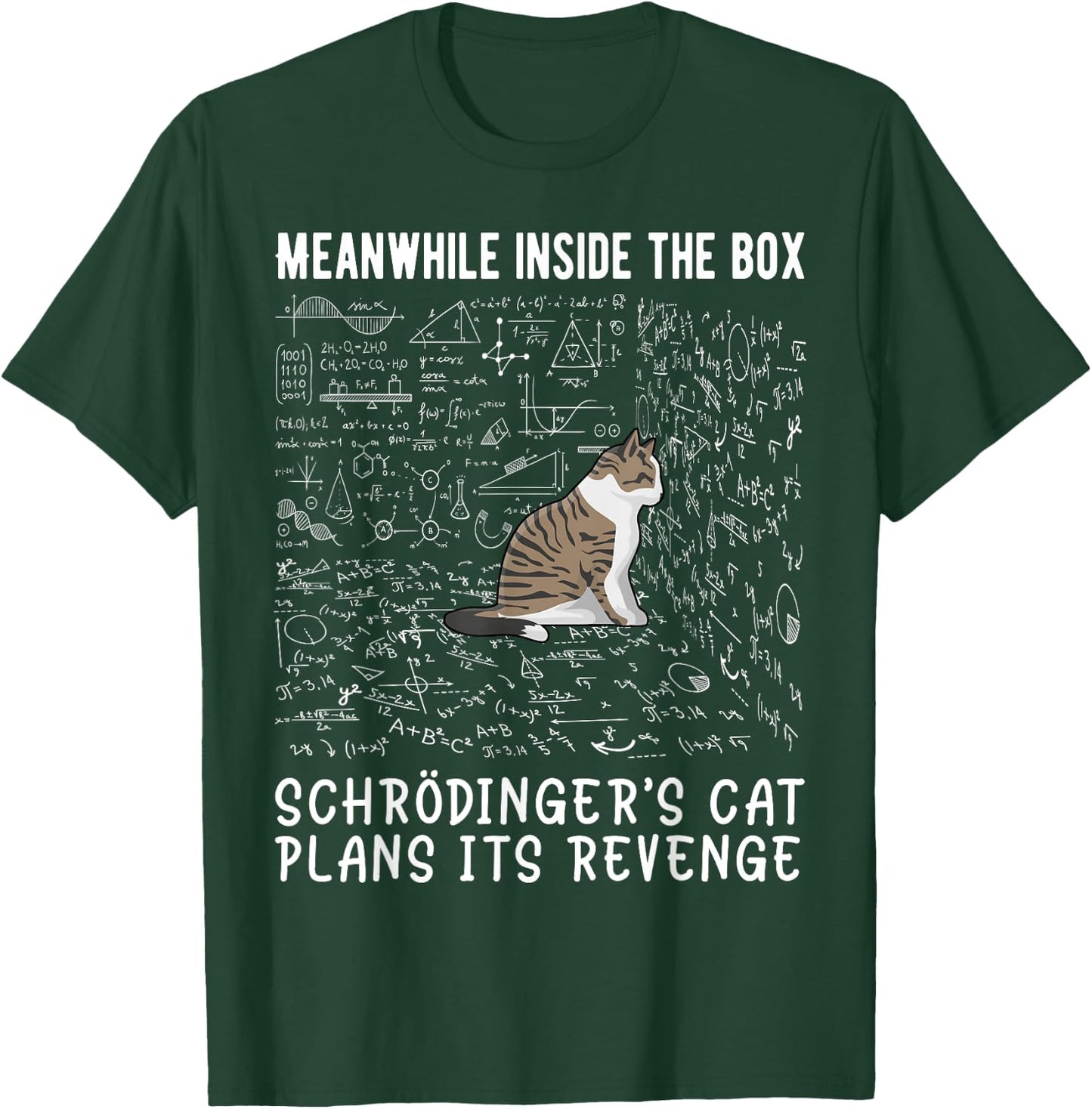 Meanwhile Inside The Box Cat De Schrödinger Vengeance T-Shirt - T-Shirt | Forest