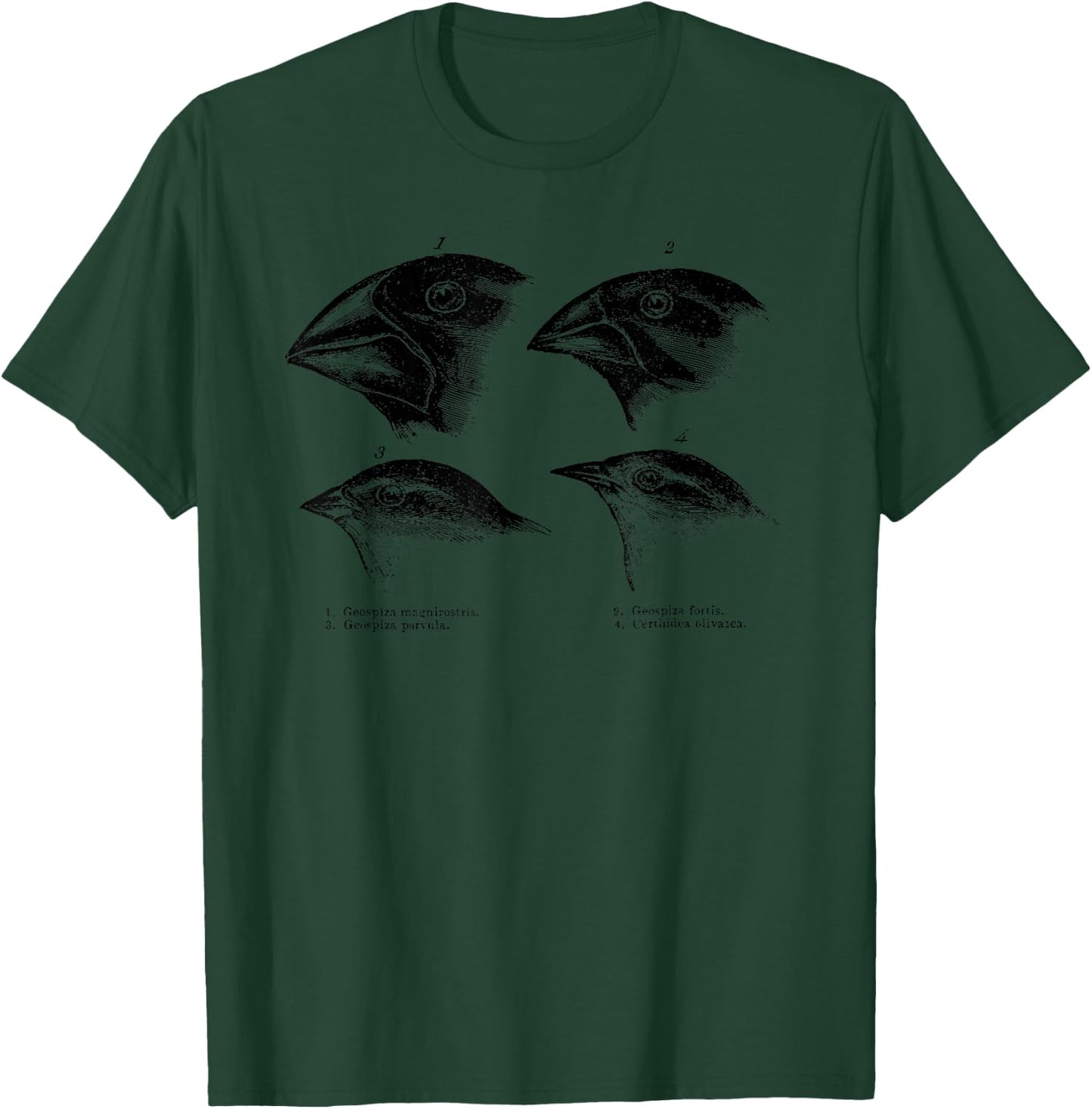 Darwin's Finches Evolution Atheist Illustration T-Shirt - T-Shirt | Forest
