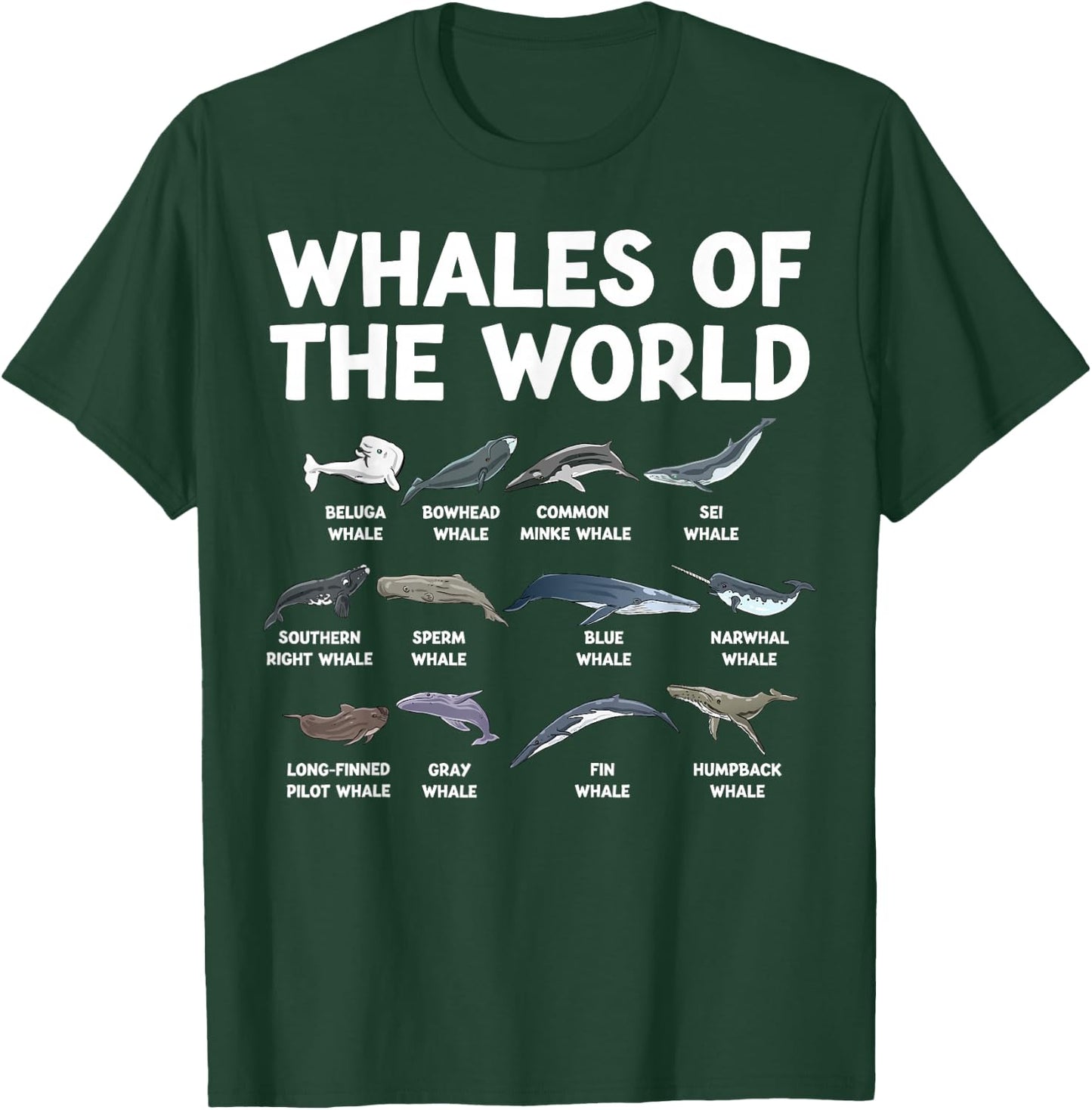 Whales Of The World Kawaii Types Of Whales Sea Animal Whale T-Shirt - T-Shirt | Forest