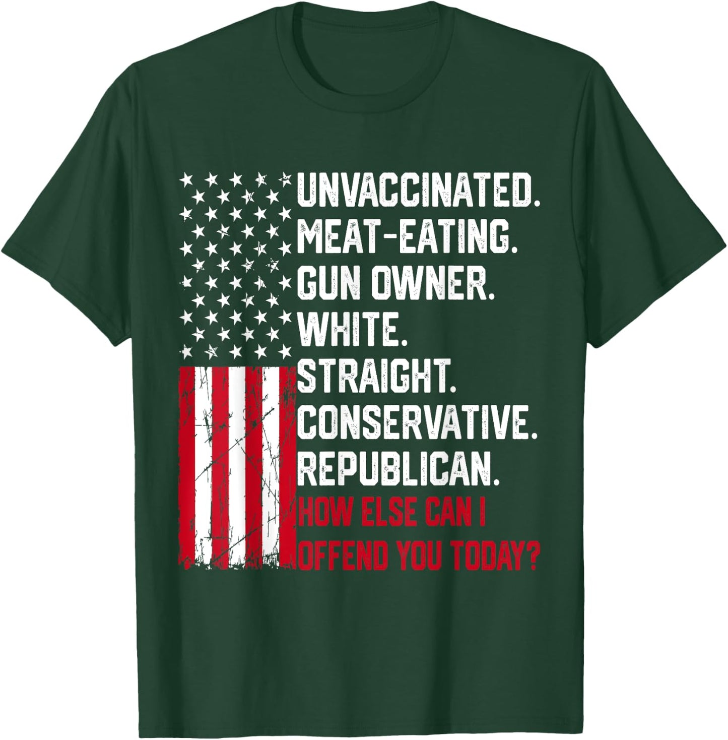 How Else Can I Offend You Today Funny Saying Quote Usa Flag Women Men T-Shirt - T-Shirt | Forest