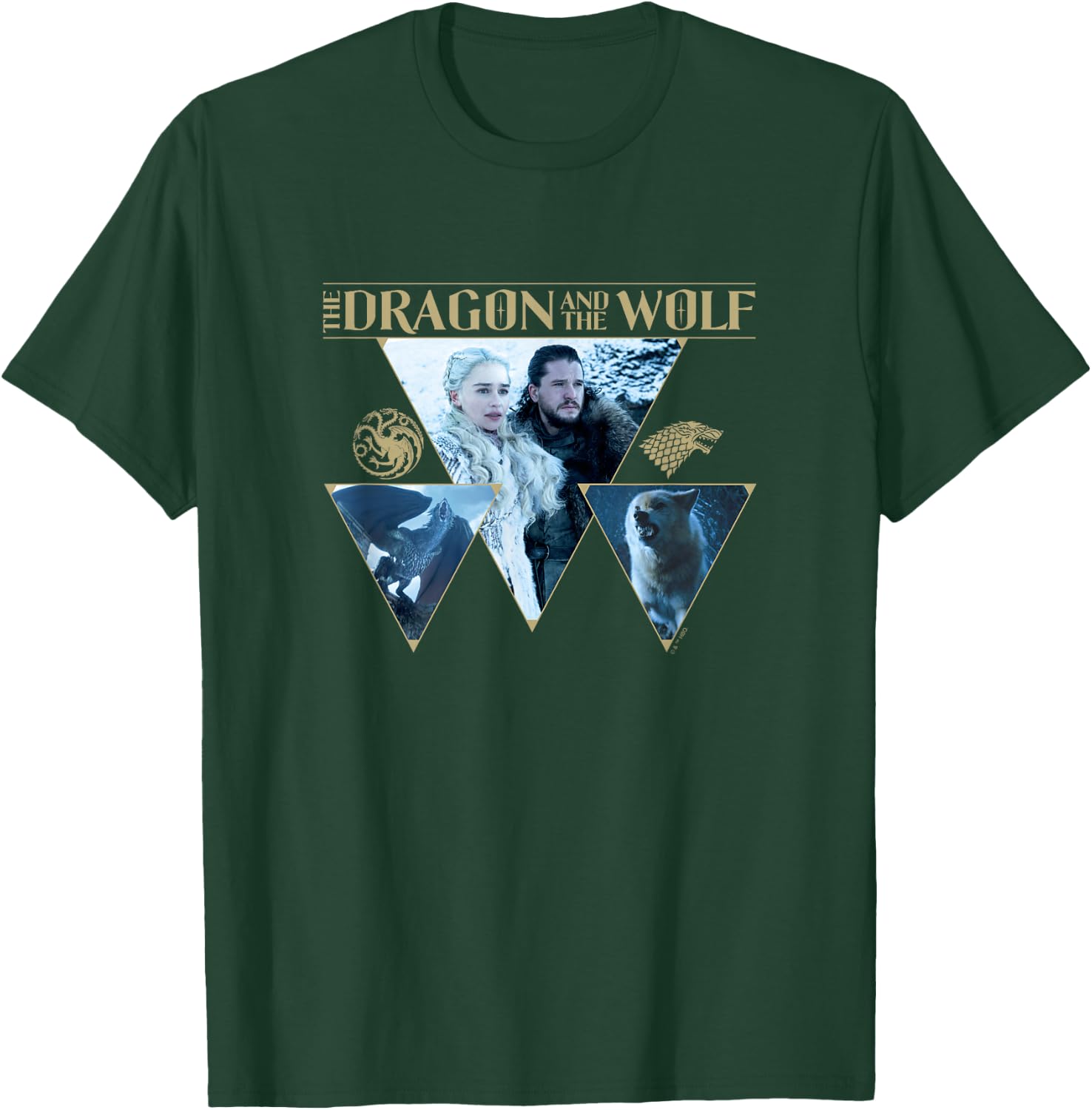 Game Of Thrones The Dragon & The Wolf House Words Panels T-Shirt - T-Shirt | Forest