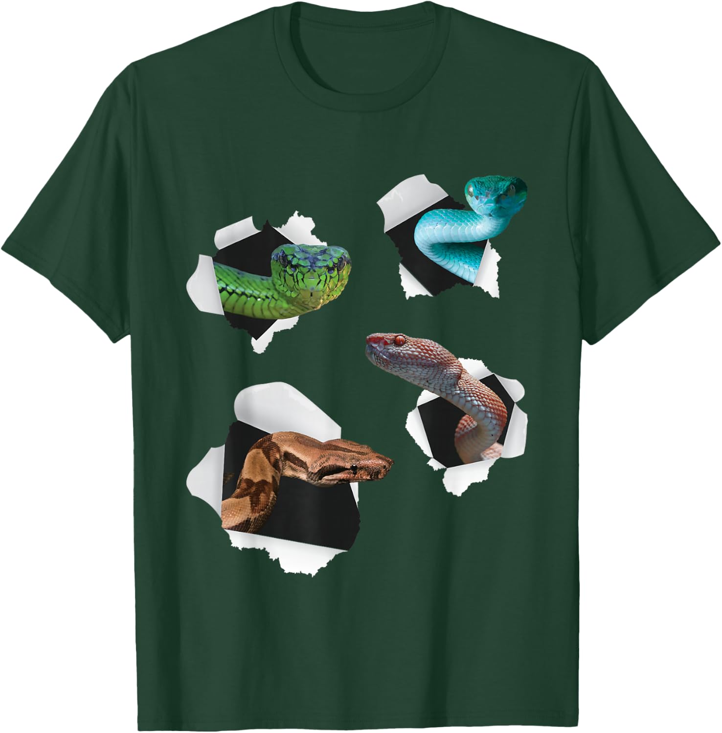 Different Type Of Snakes - Snake Lover Herpetology Zookeeper T-Shirt - T-Shirt | Forest