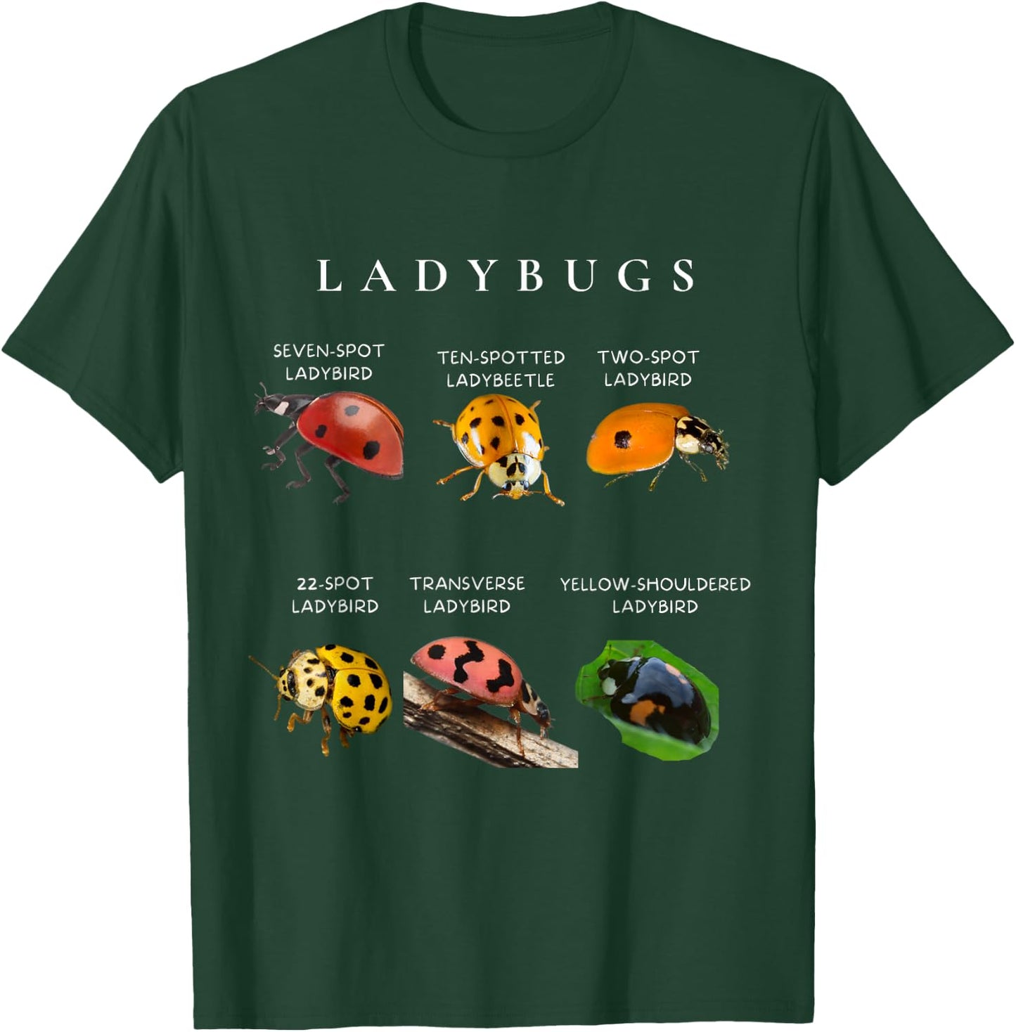 Types of ladybugs insects bug identification science T-Shirt - T-Shirt | Forest