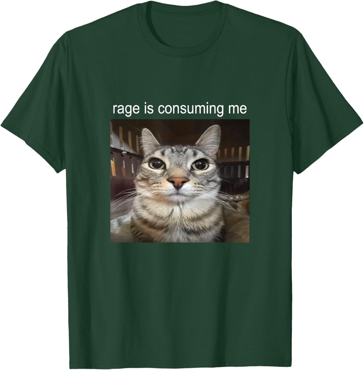 Wut verzehrt mich Dummes Starrendes Katzen-Meme , black T-Shirt - T-Shirt | Forest