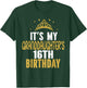 It's My Granddaughter's 16th Birthday 16 Years Old Girl T-Shirt - T-Shirt | Forest