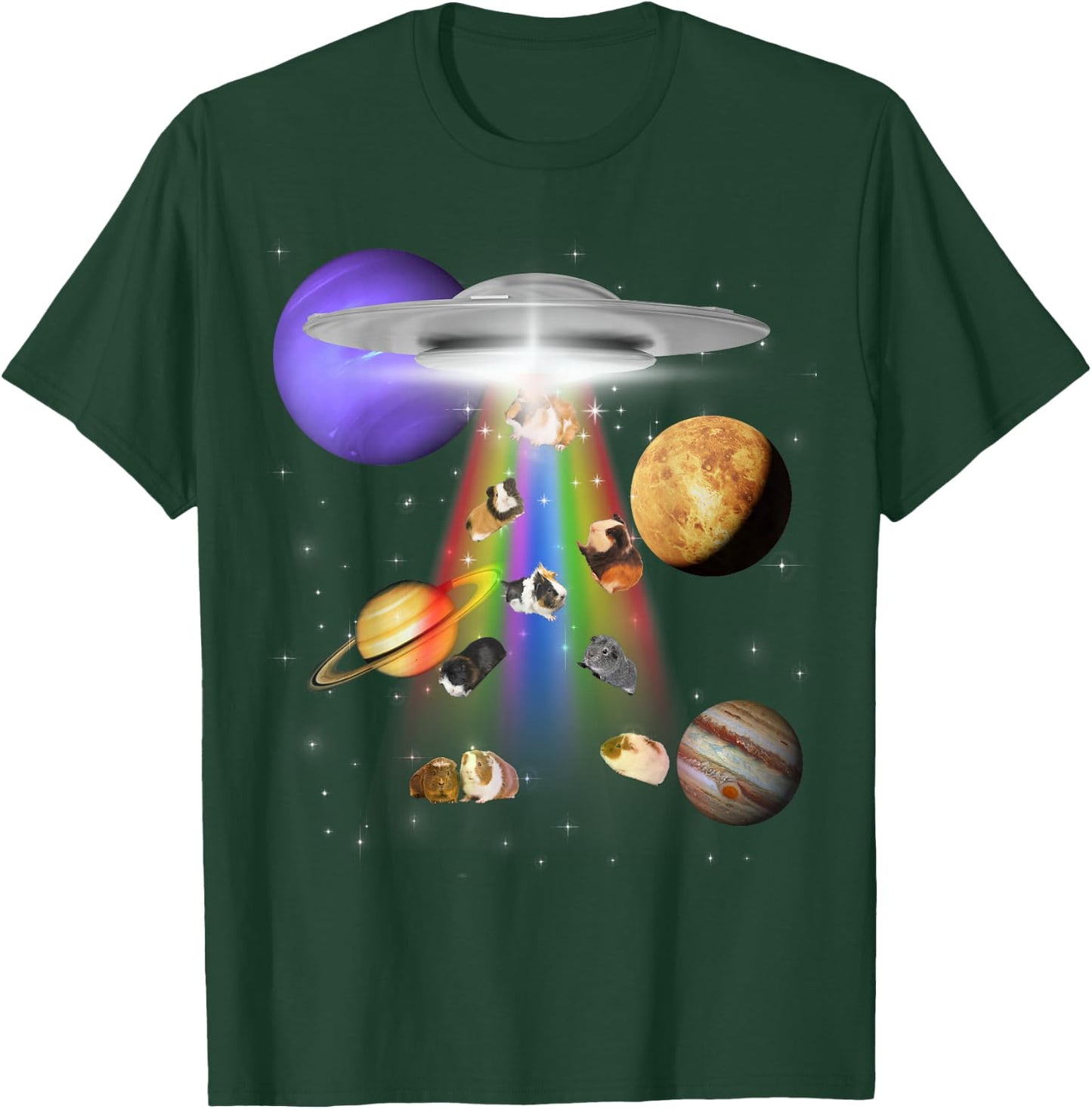 Guinea Pig Lover Alien Abduction UFO LGBTQ Subtle Pride T-Shirt - T-Shirt | Forest