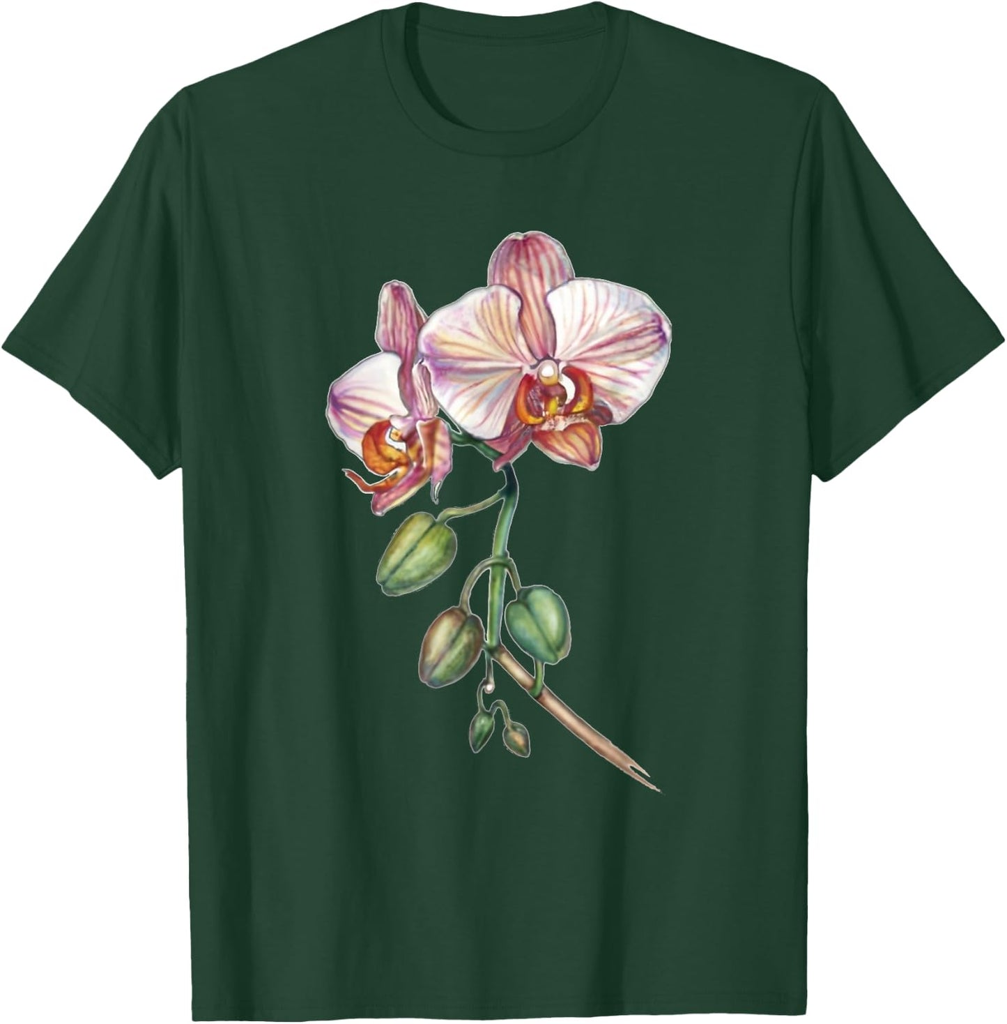 Orchid, butterfly orchid, Phalaenopsis spec. buds T-Shirt - T-Shirt | Forest